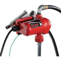Fill-Rite FR8 12V DC Fuel Transfer Pump with Nozzle