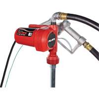 Fill-Rite FR8 12V DC Fuel Transfer Pump with Nozzle