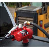 Fill-Rite FR8 12V DC Fuel Transfer Pump with Nozzle