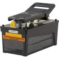 Omega Lift 22903 Pompe &agrave; pied pneumatique 10 000 PSI avec r&eacute;servoir de 91,5 po³