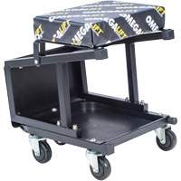Omega Lift 91305 Si&egrave;ge tabouret 2 en 1