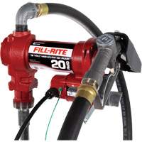 Fill-Rite FR4210HARC 12V DC Fuel Transfer Pump with Nozzle