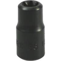 LISLE 26800 Douille Torx&reg; E-8