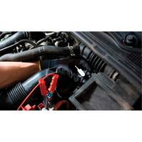 CTA Tools 8205 Pompette de purge de freins Brake-Pro &agrave; ch&acirc;ssis court avec adaptateurs