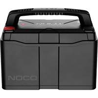 NOCO NLX31 Batterie lithium-ion LiFePO4 &agrave; double usage de groupe 31, 120 Ah