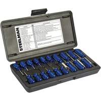 Steelman 95978 Ensemble maître de 19 outils dextraction de bornes