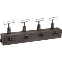 Freedom Hydraulics MANN4 Bloc collecteur de 12" de long avec 4 robinets &agrave; pointeau et 3/8" NPTF
