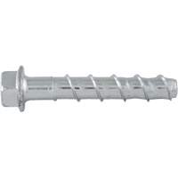 Powers PFM1411580 Boulons Wedge Bolts, Acier au carbone, 5/8" x 4"
