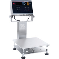 Ohaus 30575565 Defender 6000 Washdown Bench Scale, 50 lbs. Capacity, 11-4/5" L x 11-4/5" W