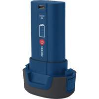 Reed Instruments R2170-3.7V R2170 3.7 V Replacement Battery