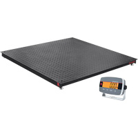 Ohaus 30837692 Defender 3000 Floor Scale, 2500 lbs. Capacity, 4' L x 4' W
