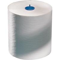 Advanced Roll Towels, 1 Ply, Standard, 700' L  JA055 | TENAQUIP