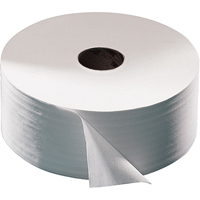 Advanced Toilet Paper, Jumbo Roll, 2 Ply, 751' Length, White  JB564 | TENAQUIP