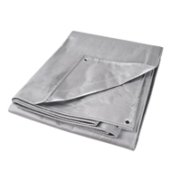 KLETON NN407 Tarp, Super Heavy-Duty, Silver, 10' x 8' x 12 mils