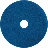 Floor Maintenance Pads, 15", Cleaning/Scrubbing, Blue  JD569 | TENAQUIP
