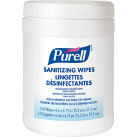 Hand Sanitizing Wipes, Canister JD602 | TENAQUIP