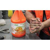 Nettoyant pour les mains à l'orange, Pierre ponce, 3,6 L, Cruche, Orange JG223 | TENAQUIP