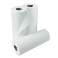Paper Towel Rolls