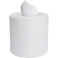 Rouleaux d'essuie-mains en papier