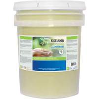 Dustbane 50213 Nettoyant &agrave; usages multiples Excelsior, 20 L, Seau