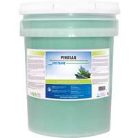 Pinosan General Purpose Disinfectant Cleaner, Drum  JH359 | TENAQUIP