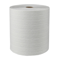 Scott<sup>®</sup> Essential™ Plus Hard Roll Towels, 1 Ply, Standard, 600' L  JI594 | TENAQUIP