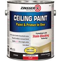 Zinsser 254065 Ceiling Paint & Primer in One, White, Very Flat, 3.78 L, Gallon