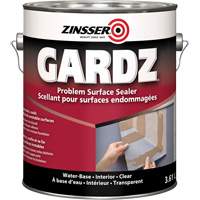 Zinsser 289393 Scellant de surface &agrave; probl&egrave;mes Gardz, 916 ml, Canette, Transparent