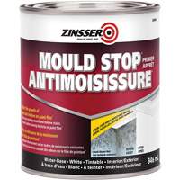 Zinsser 336964 Appr&ecirc;t antimoisissure, 946 ml, Canette, Blanc