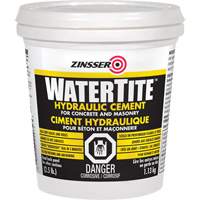 Zinsser 266296 Watertite&reg; Hydraulic Cement