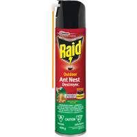 SC Johnson 10062300618054 Raid&reg; Outdoor Ant Nest Destroyer Insecticide, 400 g, Aerosol Can