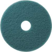 Americo 402321 Tampons &agrave; polir pour planchers Aqua, 21", Brunissage, Aqua