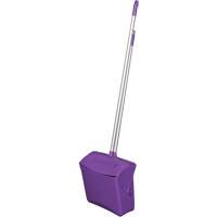 Vikan 62508 Balai et porte-poussi&egrave;re de vestibule
