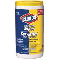 Disinfecting Wipes, 75 Count  JO242 | TENAQUIP