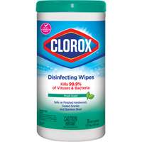 Disinfecting Wipes, 75 Count  JO324 | TENAQUIP