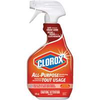 Clorox 55500014019 Nettoyant d&eacute;sinfectant tout usage &agrave; pulv&eacute;riser, 946 ml, Bouteille &agrave; g&acirc;chette