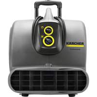 Karcher Professional 1.004-039.0 AB 84 Air Blower