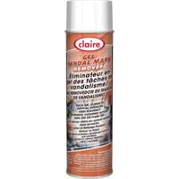 Sprayway 1000010419 Graffiti Remover Gel
