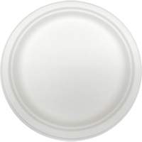  JP601 Molded Fiber Disposable Plates