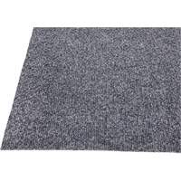 Edgewood Matting RNR201020 Ranier Commercial Entrance Matting, Wiper/Scraper, 3-1/2' x 20' x 3/8", Charcoal