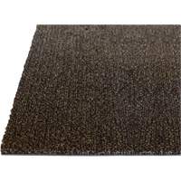 Palliser Indoor Matting, Wiper/Scraper, 3-1/2' x 15' x 5/16", Anglis  JP635 | TENAQUIP