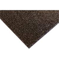 Edgewood Matting PLR501010 Palliser Indoor Matting, Wiper/Scraper, 3-1/2' x 10' x 5/16", Anglis