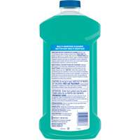 Multi Surface Cleaner with Febreze Meadows and Rain, Bottle  JQ325 | TENAQUIP