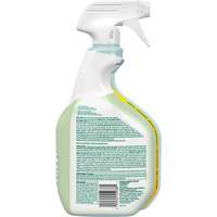 Clorox 55938 CloroxPro Clorox EcoClean Disinfecting Cleaner, 946 ml, Trigger Bottle