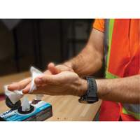 RMP Maintenance Products JQ681 Individually Wrapped Cleaning Wipes, 12 Wipes, 8" x 9-1/2"