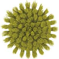 Vikan 87006 HyDrive Round Drill Brush, Extra Stiff Bristles, 3-1/10" Long, Yellow