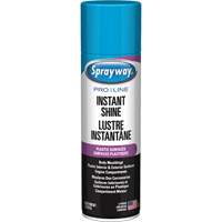 Sprayway SPRA57576 Pro Line Instant Shine for Plastic Surfaces, 11 oz., Aerosol Can