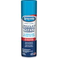 Sprayway SPRA57598 Nettoyant tout usage Pro Line Crazy Clean, 19 oz., Canette a&eacute;rosol