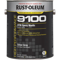 Rust-Oleum 9182402 Base de mastic &eacute;poxy DTM du syst&egrave;me 9100, Gris argent&eacute;, Gallon