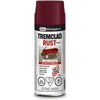 Rust-Oleum 27018B522 Peinture antirouille &agrave; base dhuile Tremclad, Framboise sauvage, Brillant, Canette a&eacute;rosol